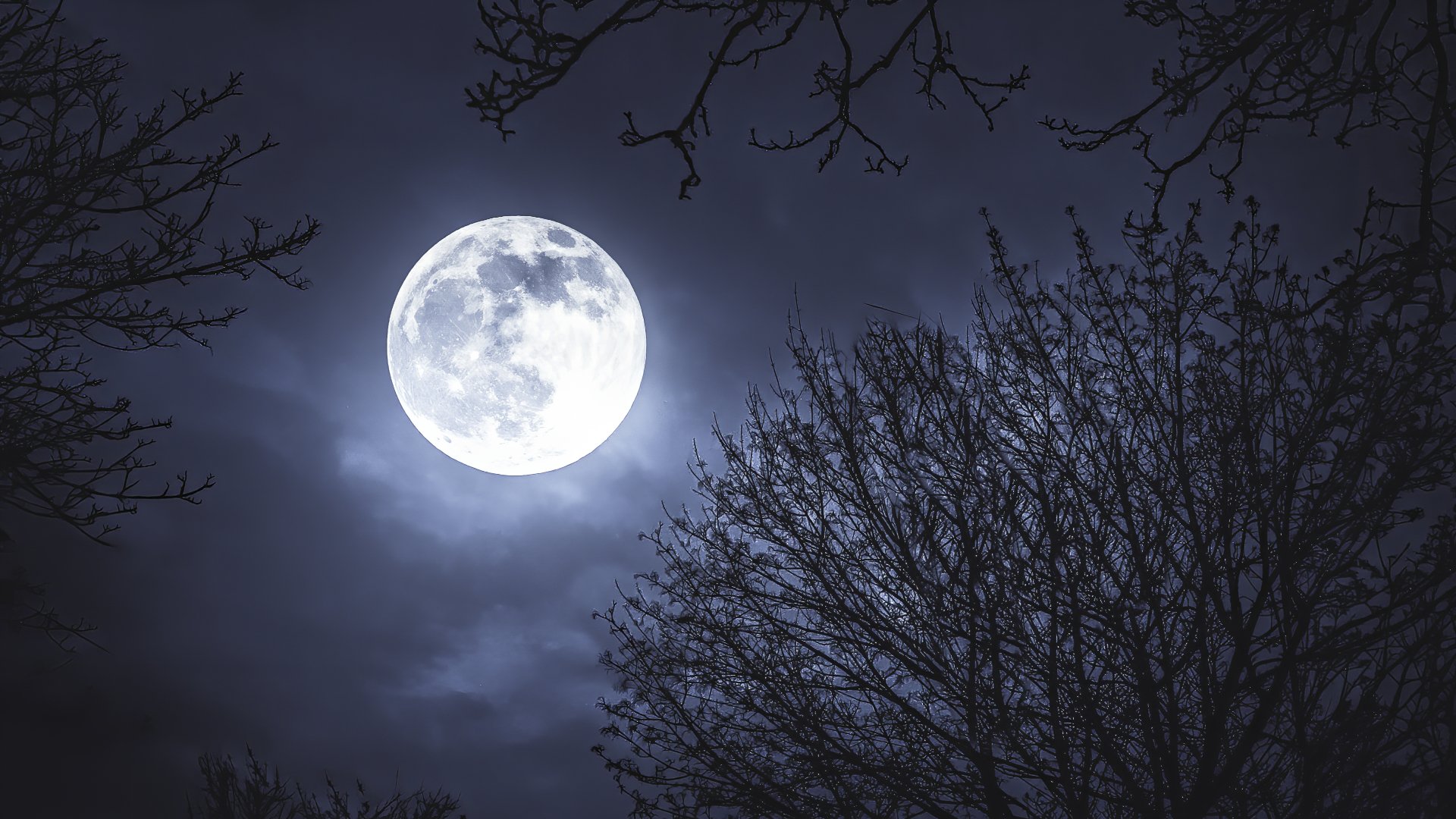 Luna llena de agosto 2023: ¿a qué hora se podrá ver hoy la Superluna del Esturión?