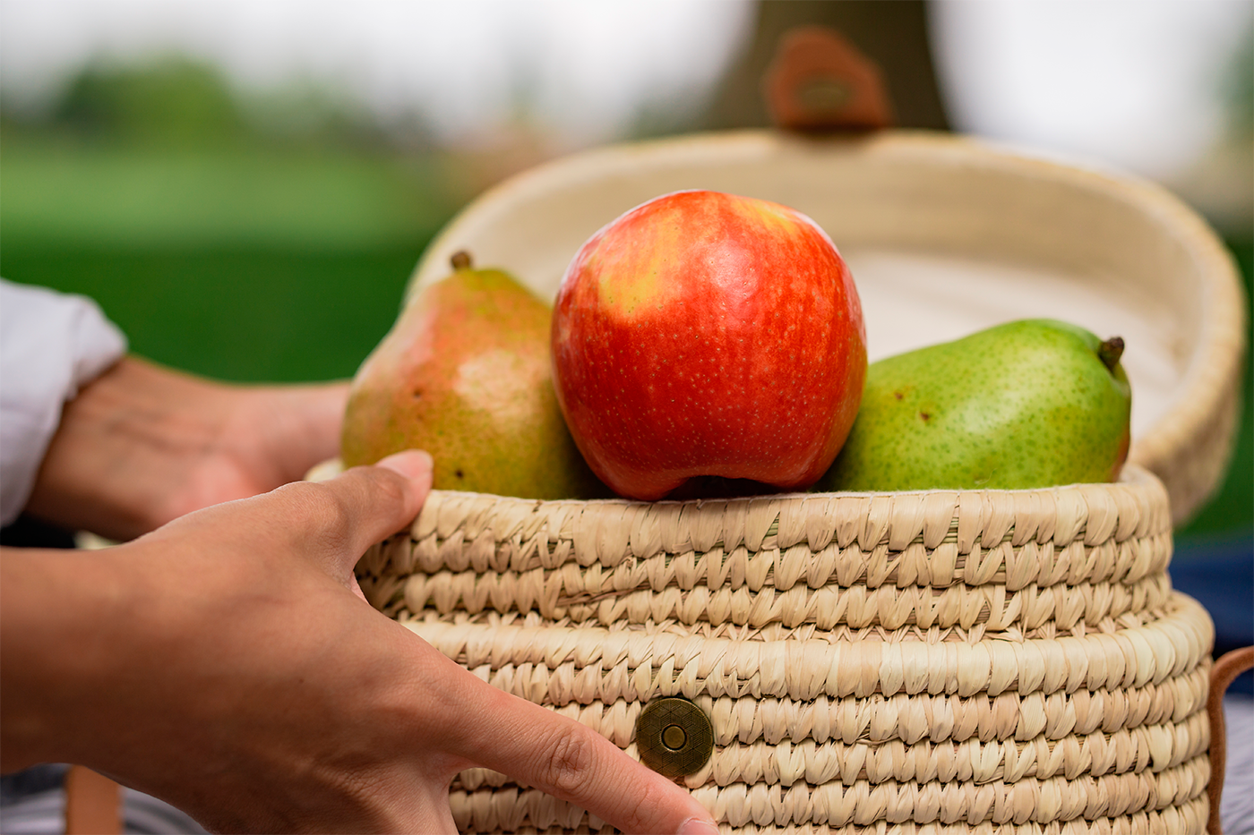 La fruta de semilla salva la campaña y consigue calibres mejores