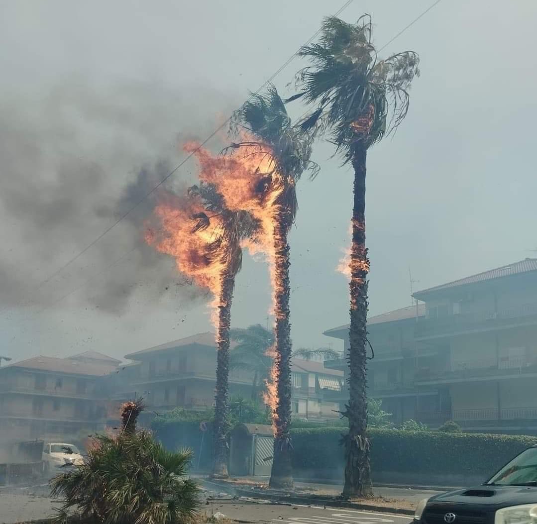 catania incendis