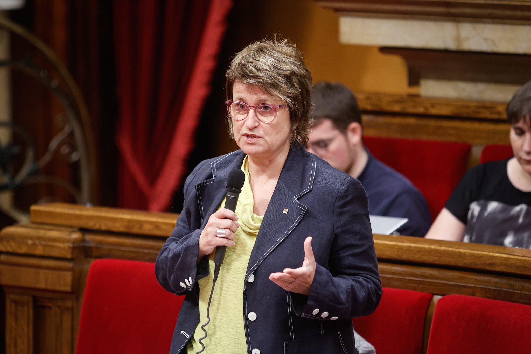 Anna Simó titlla d'"intolerable" la nova sentència del TSJC contra el català a les aules