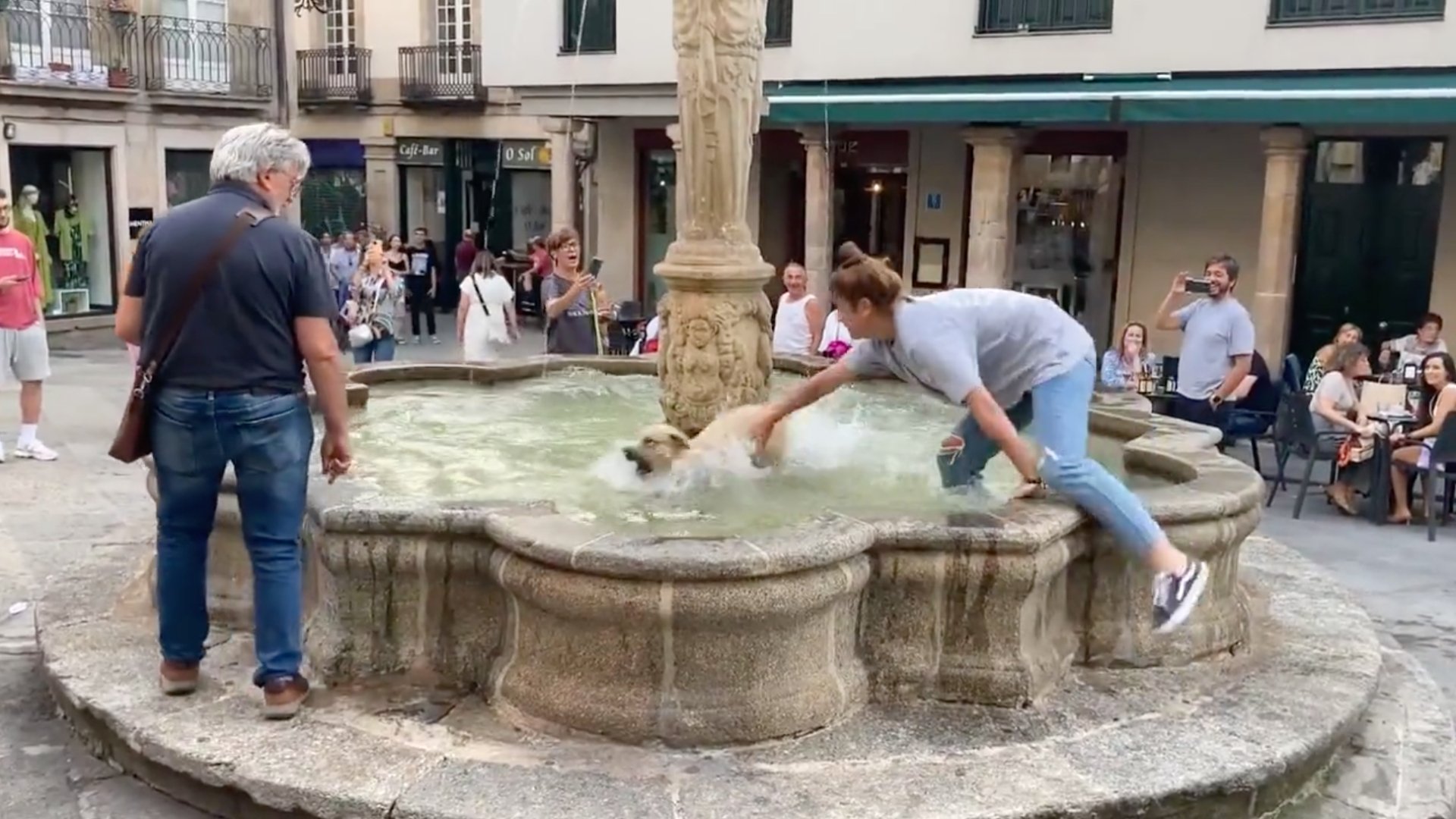 El vídeo viral d'un gosset saltant feliç en una font a Ourense que t'alegrarà el dia