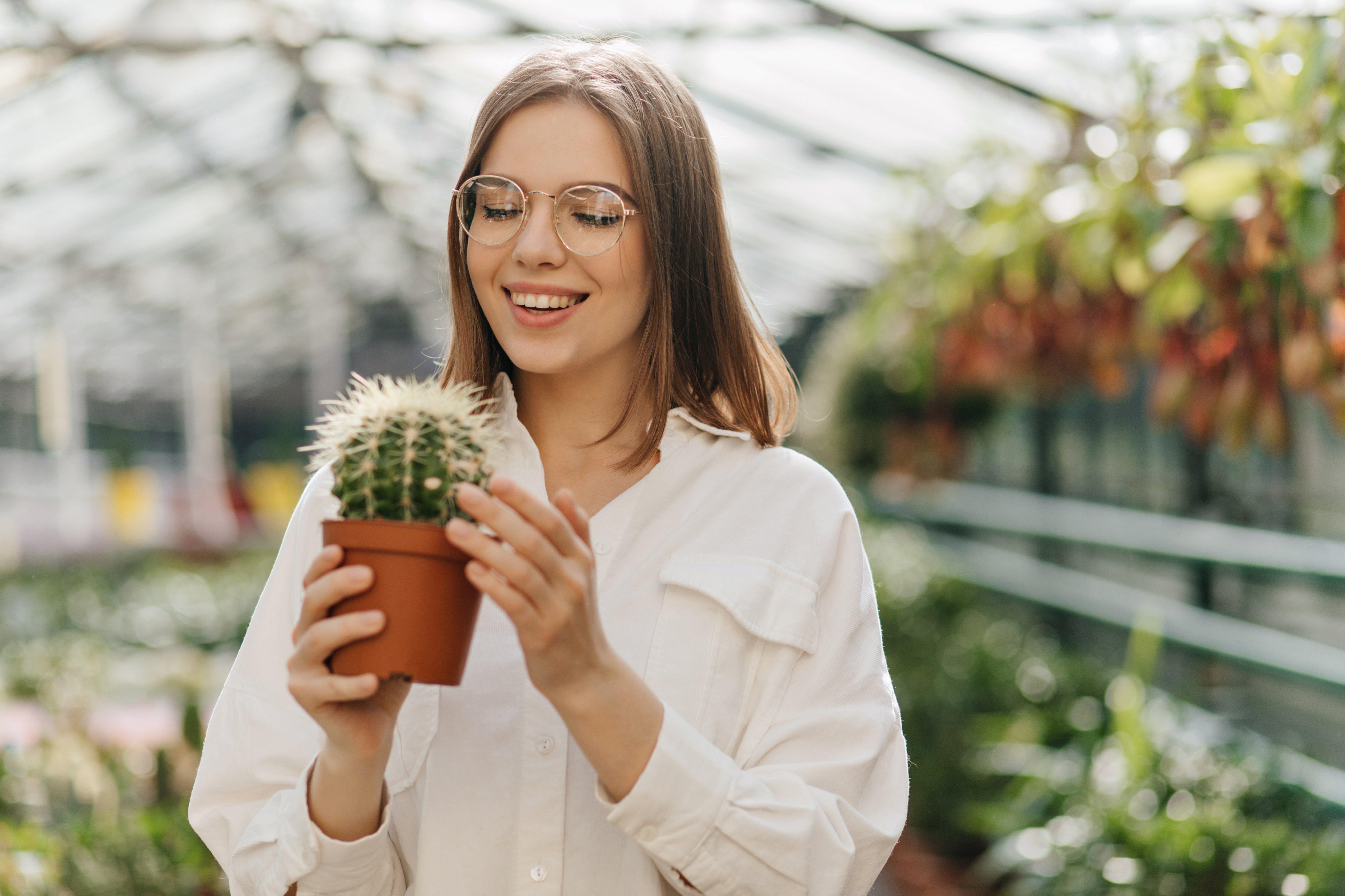 Com cuidar un cactus: 4 trucs que el mantindran saludable