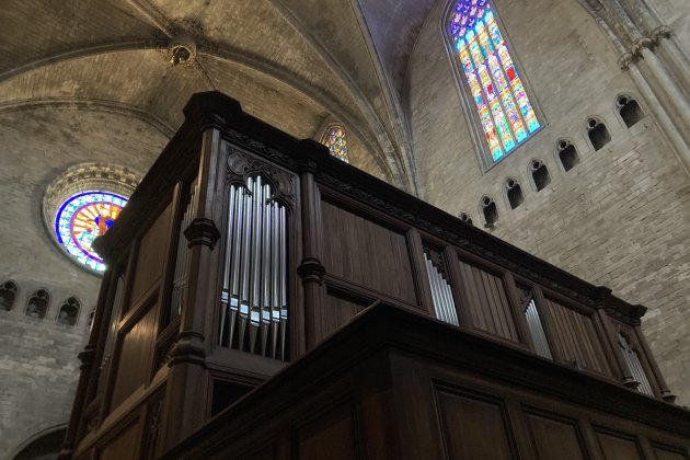 The organ of Girona Cathedral/Evy Lewis