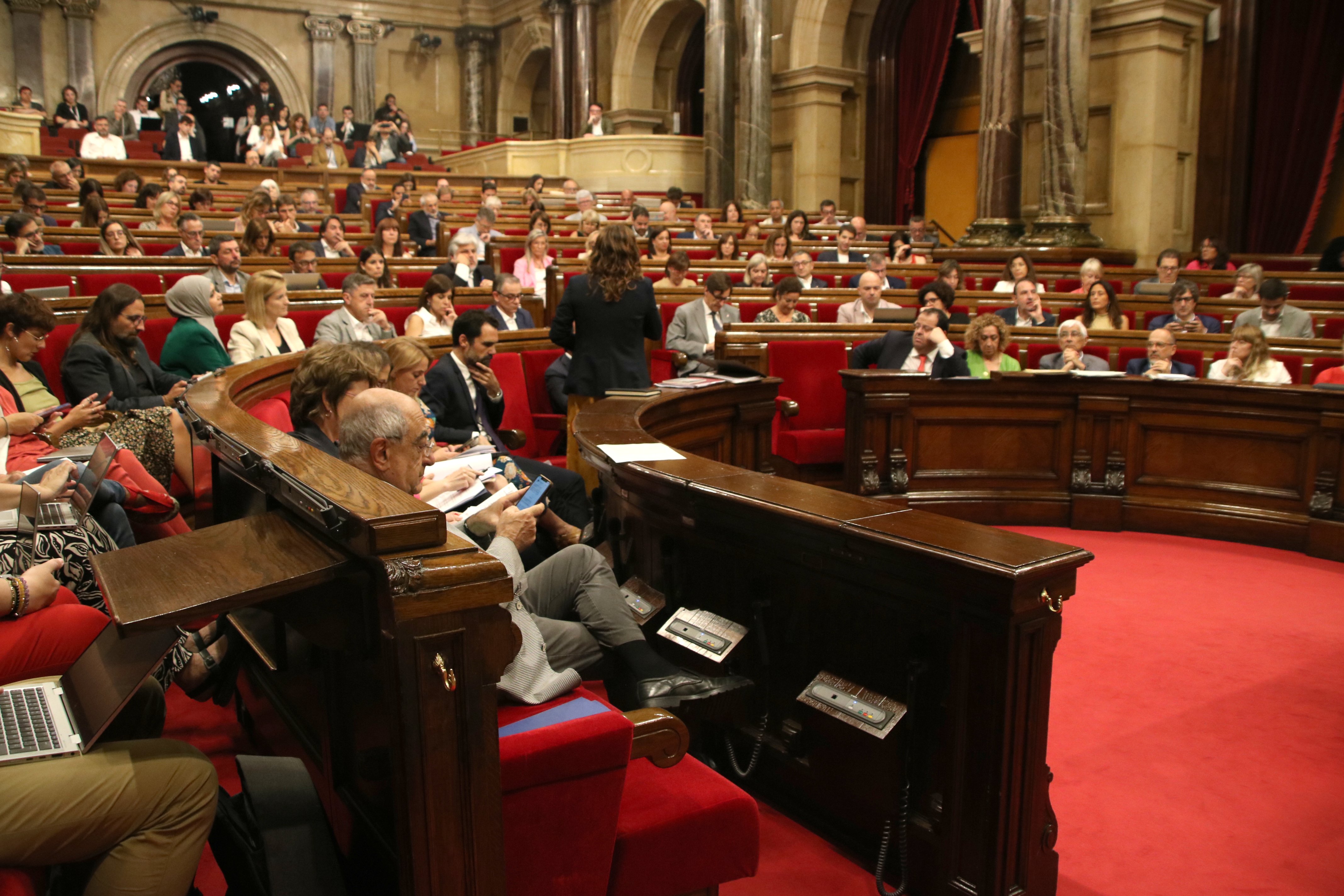 El Parlament aprova augmentar les indemnitzacions a les víctimes de violència masclista