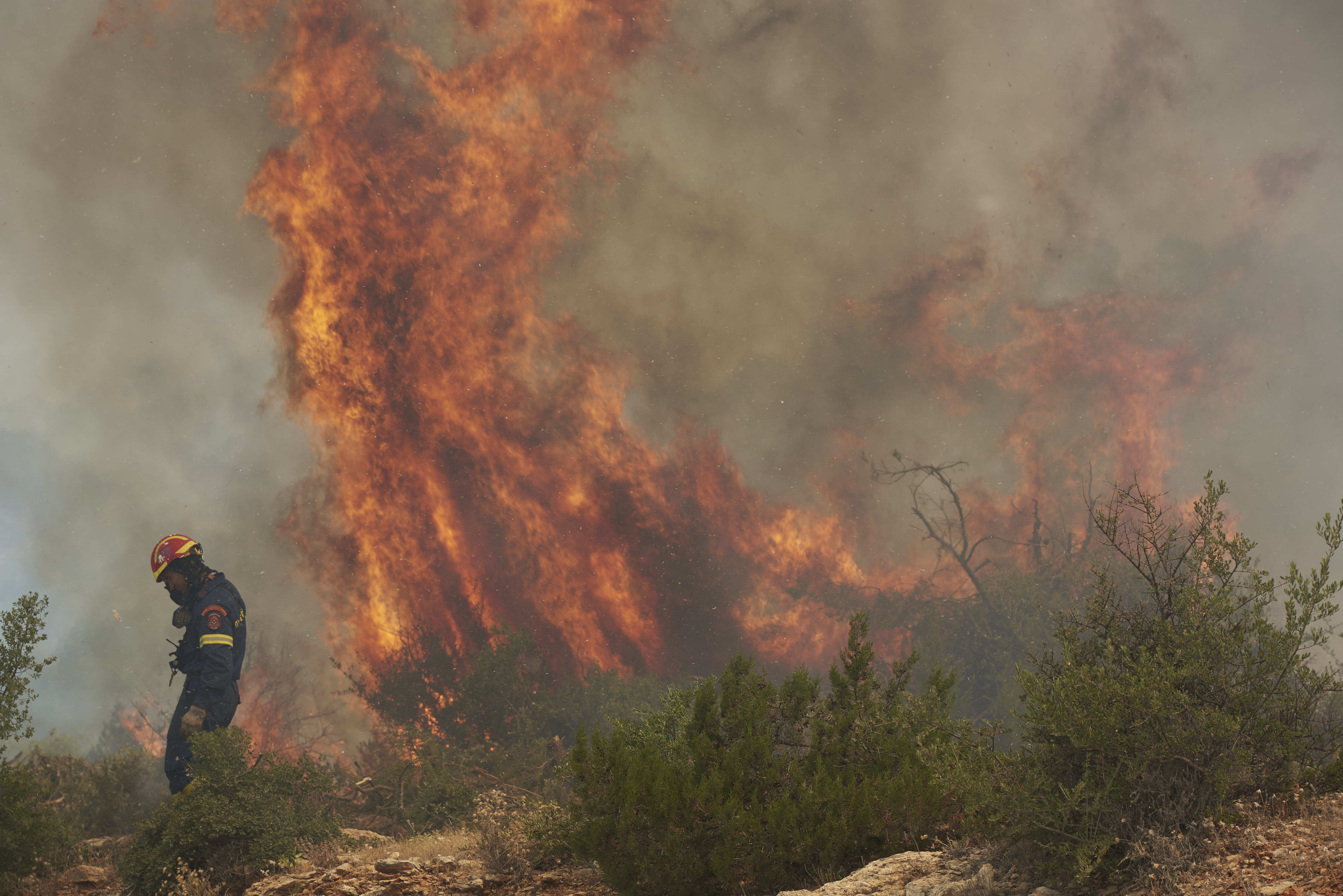 ¿Incendios forestales en Europa, son cada vez más frecuentes?