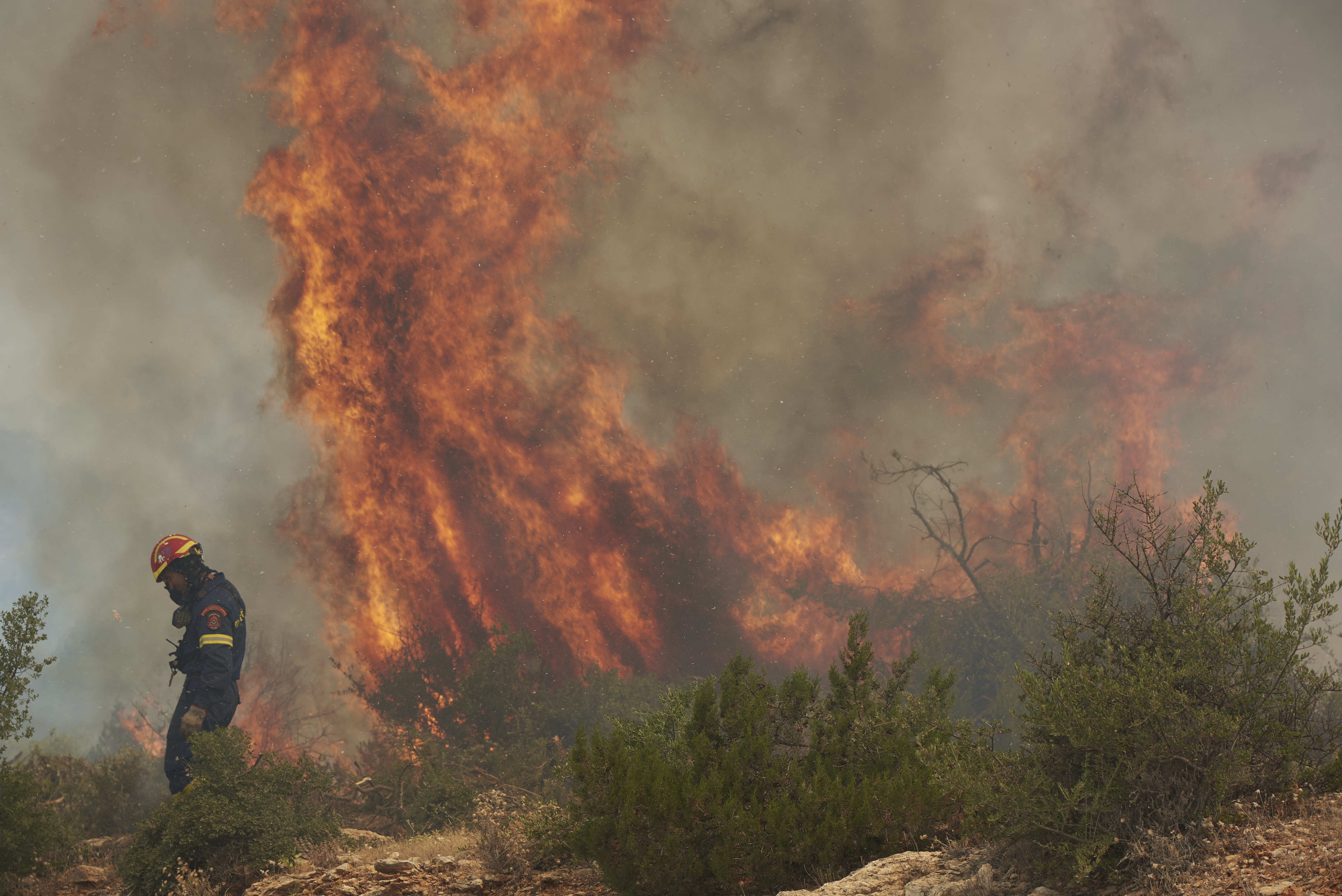 Incendis forestals a Europa, són cada cop més freqüents?