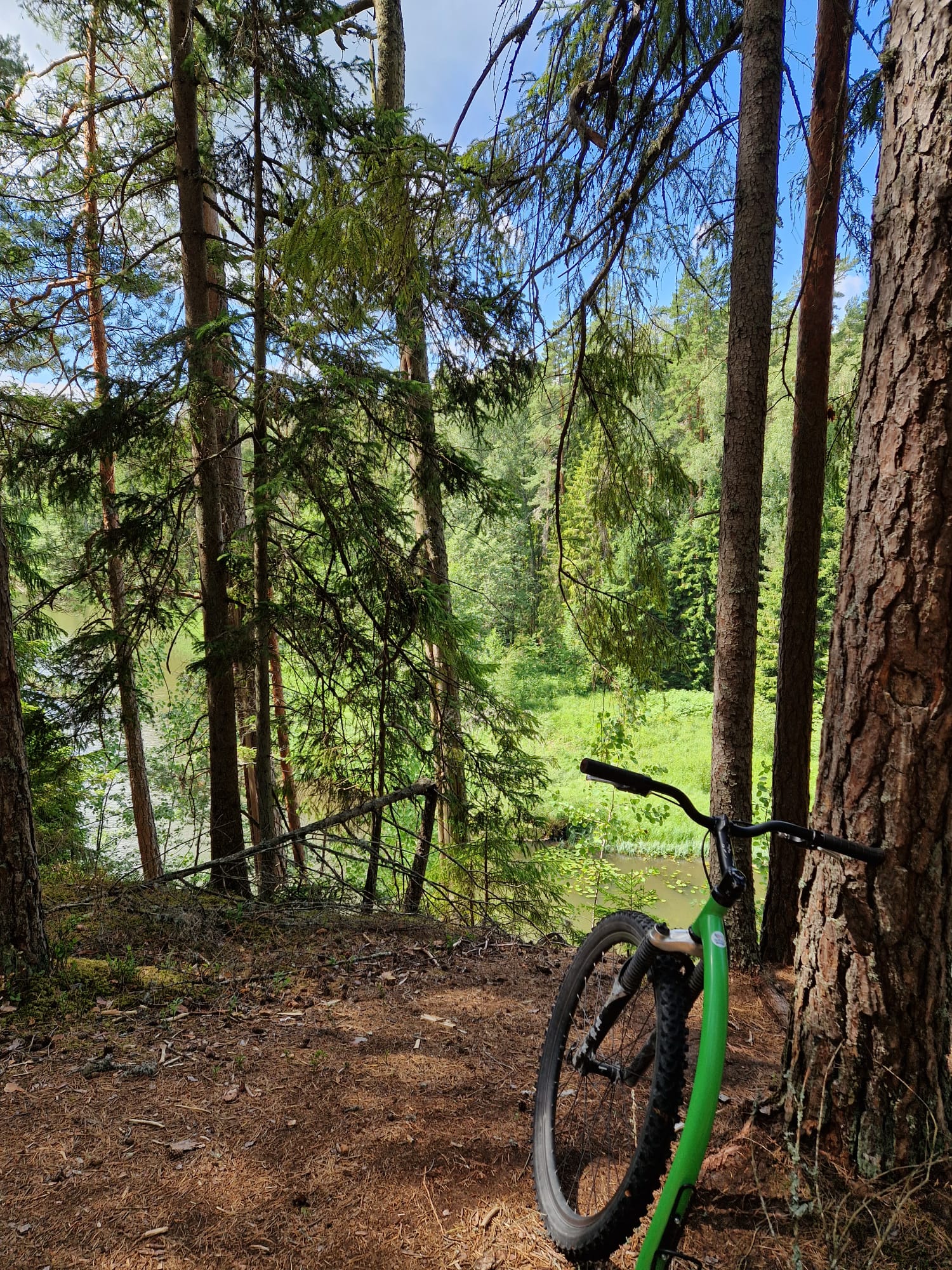 taevaskoja estonia anna sole sanos (10)