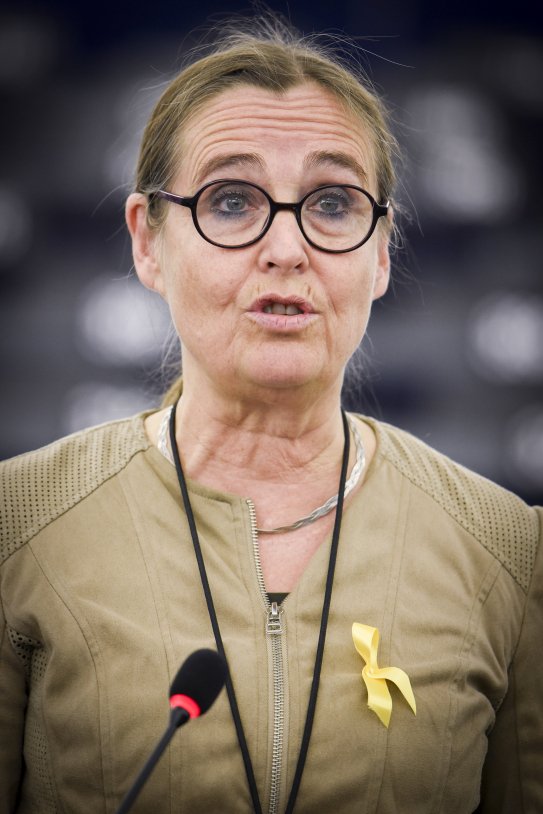 Bodil Valero Parlament Europeu