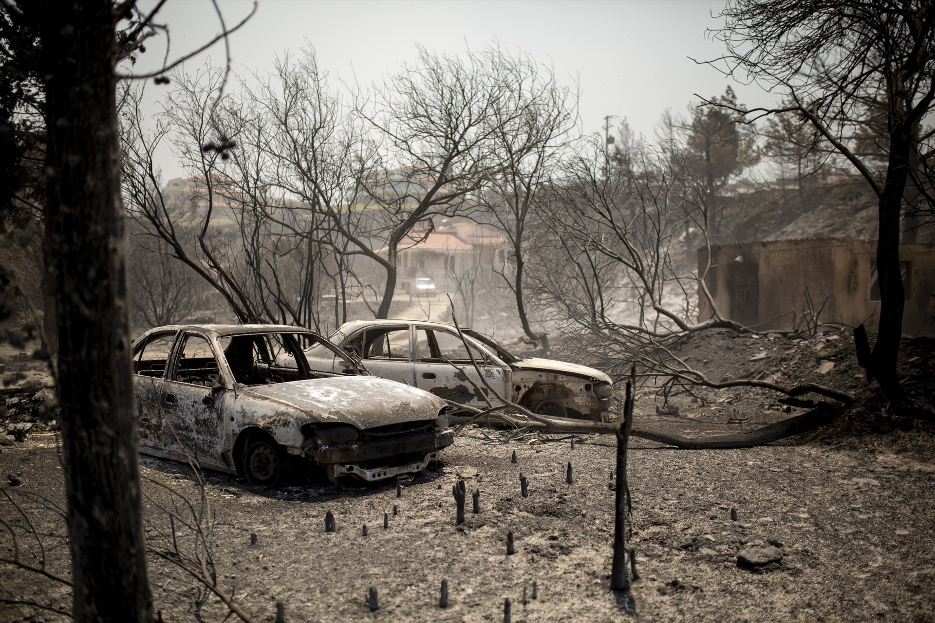 Las elecciones generales en España, los incendios a Grecia y más: La vuelta al mundo en 15 fotos