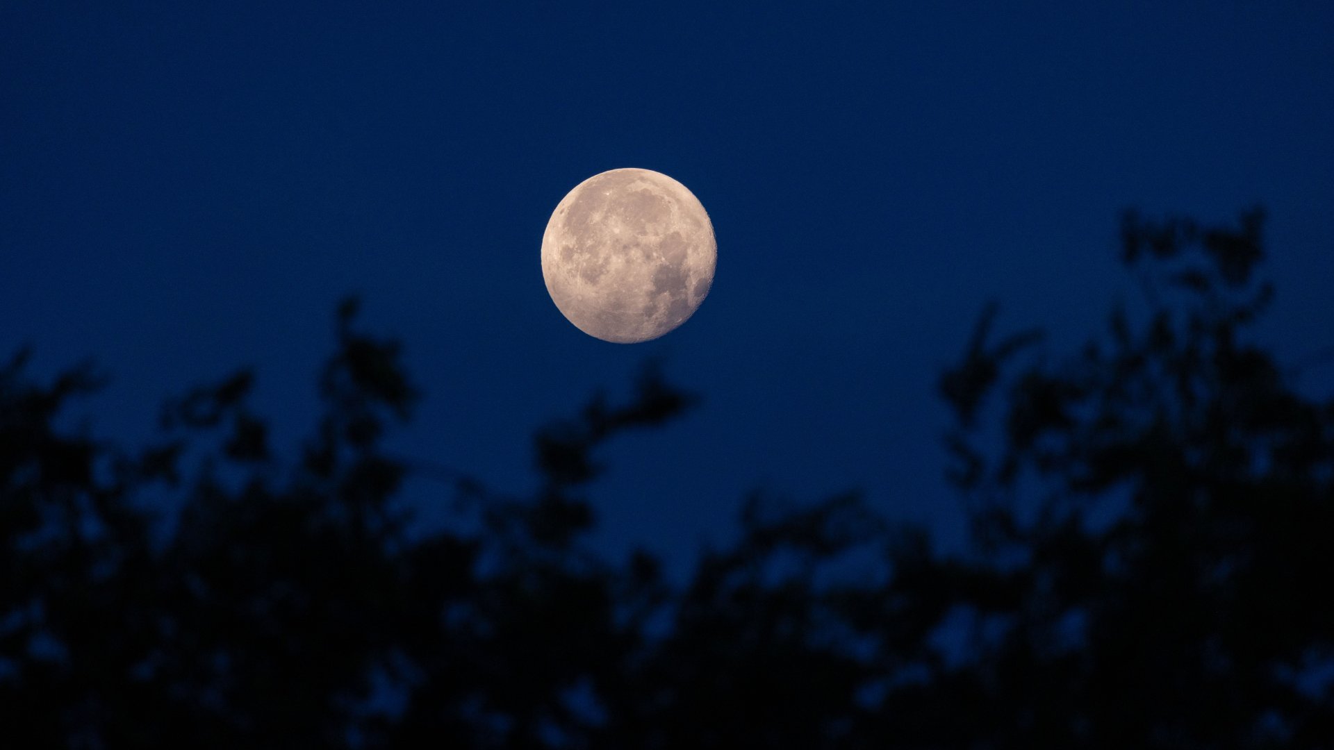Calendari lunar agost 2023: quan hi haurà lluna plena i pluja d'estrelles?