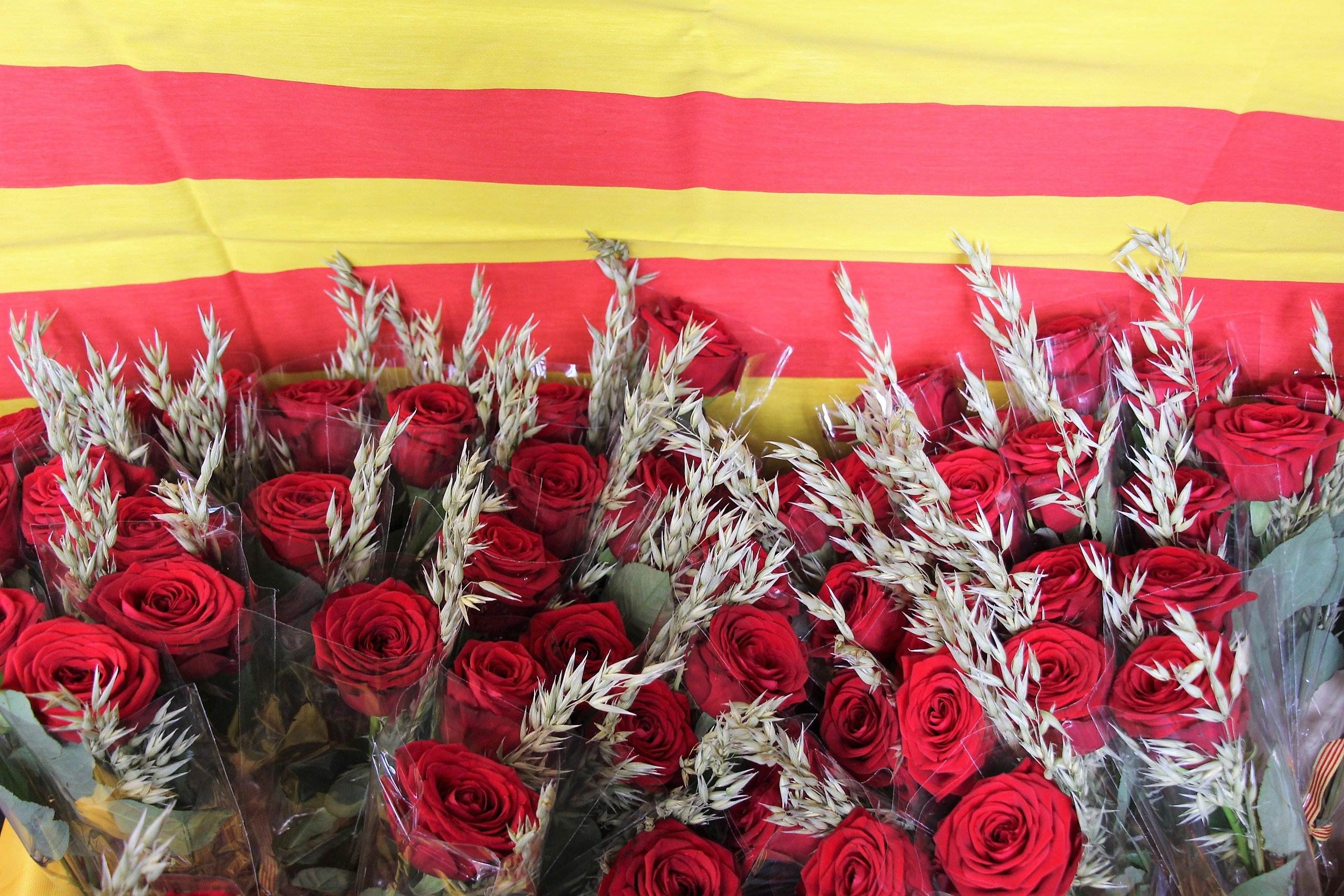 La festa de Sant Jordi, explicada als estrangers