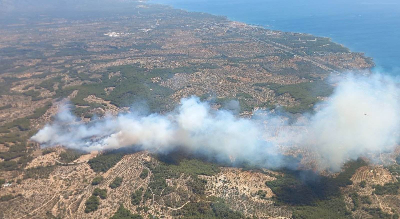 Un nuevo incendio quema una zona boscosa de El Perelló y obliga a confinar tres urbanizaciones