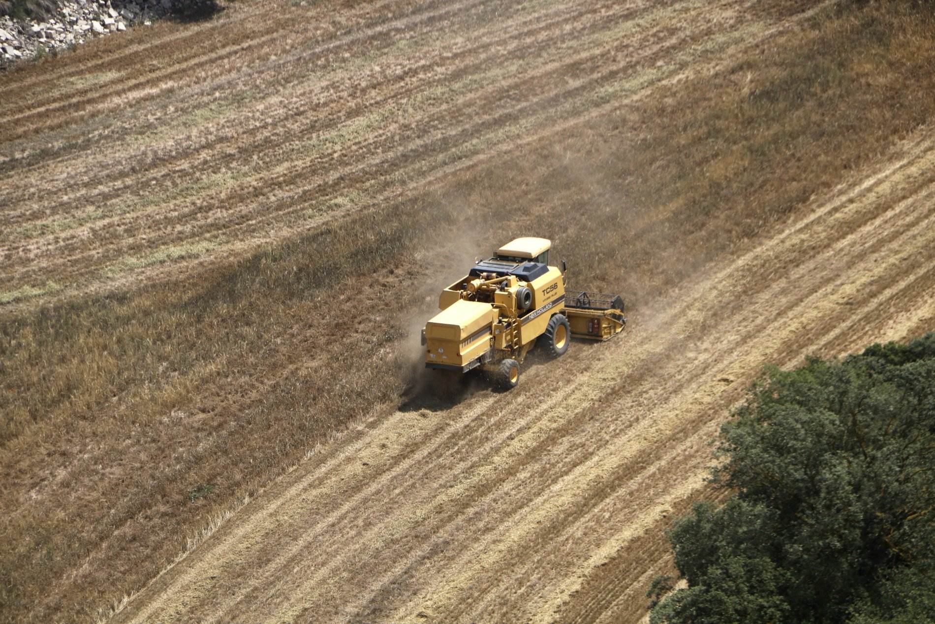 Se desploma la cosecha de cereal en Catalunya por la sequía: un 46% menos