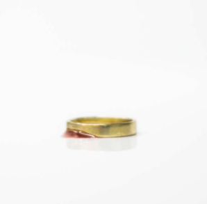 La gestió de dades, clau per prevenir feminicidis