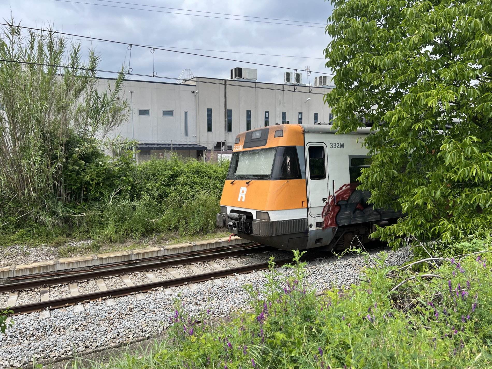 Tallada la R3 de Rodalies entre Ripoll i Sant Quirze de Besora després de l'atropellament d'un cavall