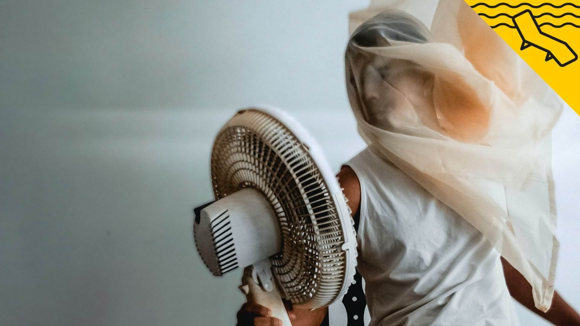 El truco del ventilador para que no te piquen los mosquitos