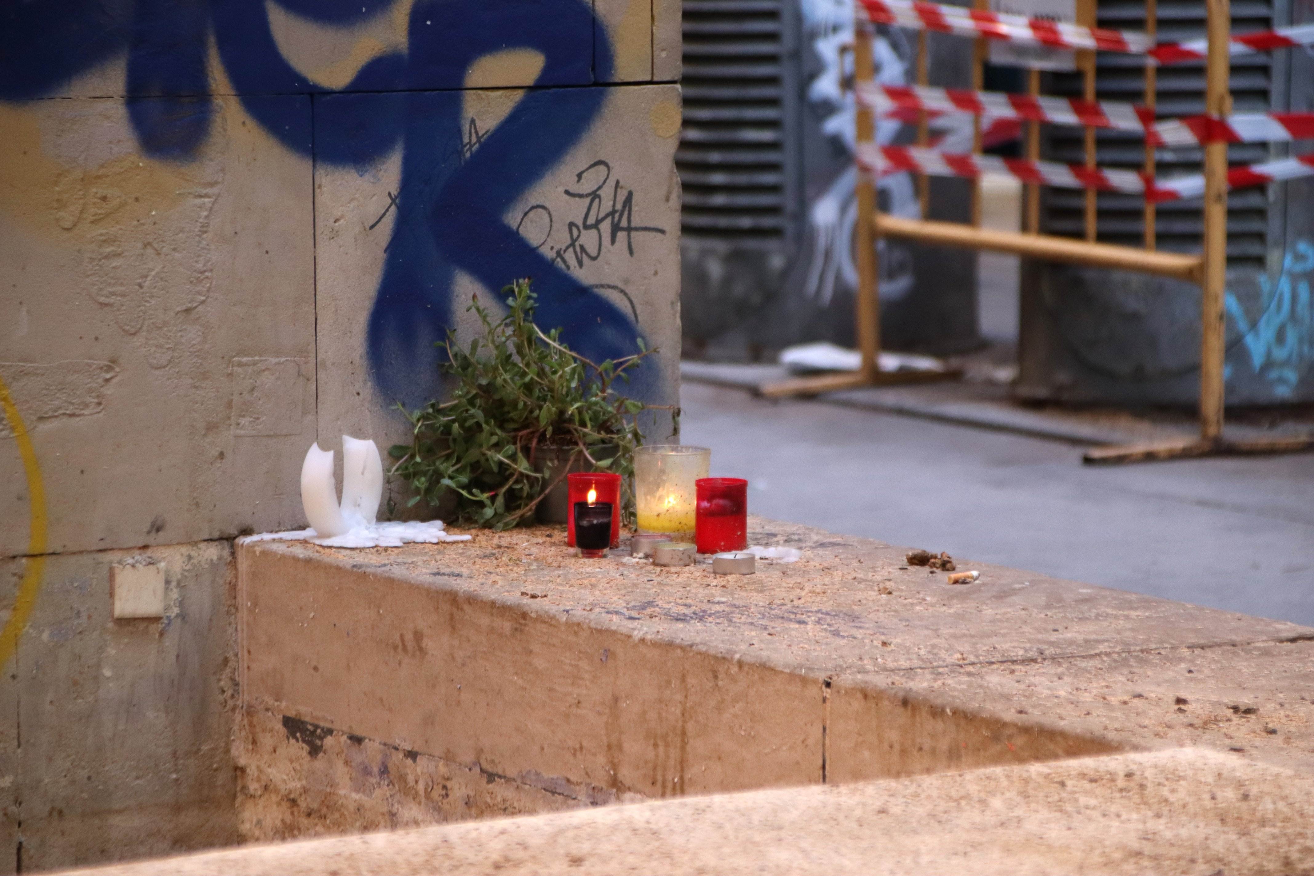 El Ayuntamiento revisó en marzo la palmera que mató a una mujer en el Raval sin percibir riesgo