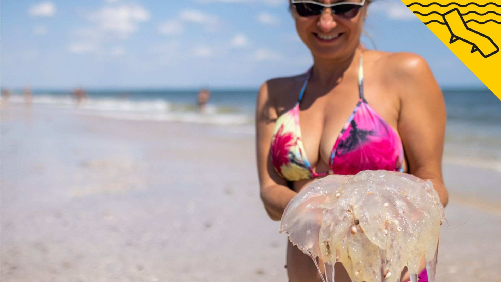 Què fer (i què NO fer) si et pica una medusa