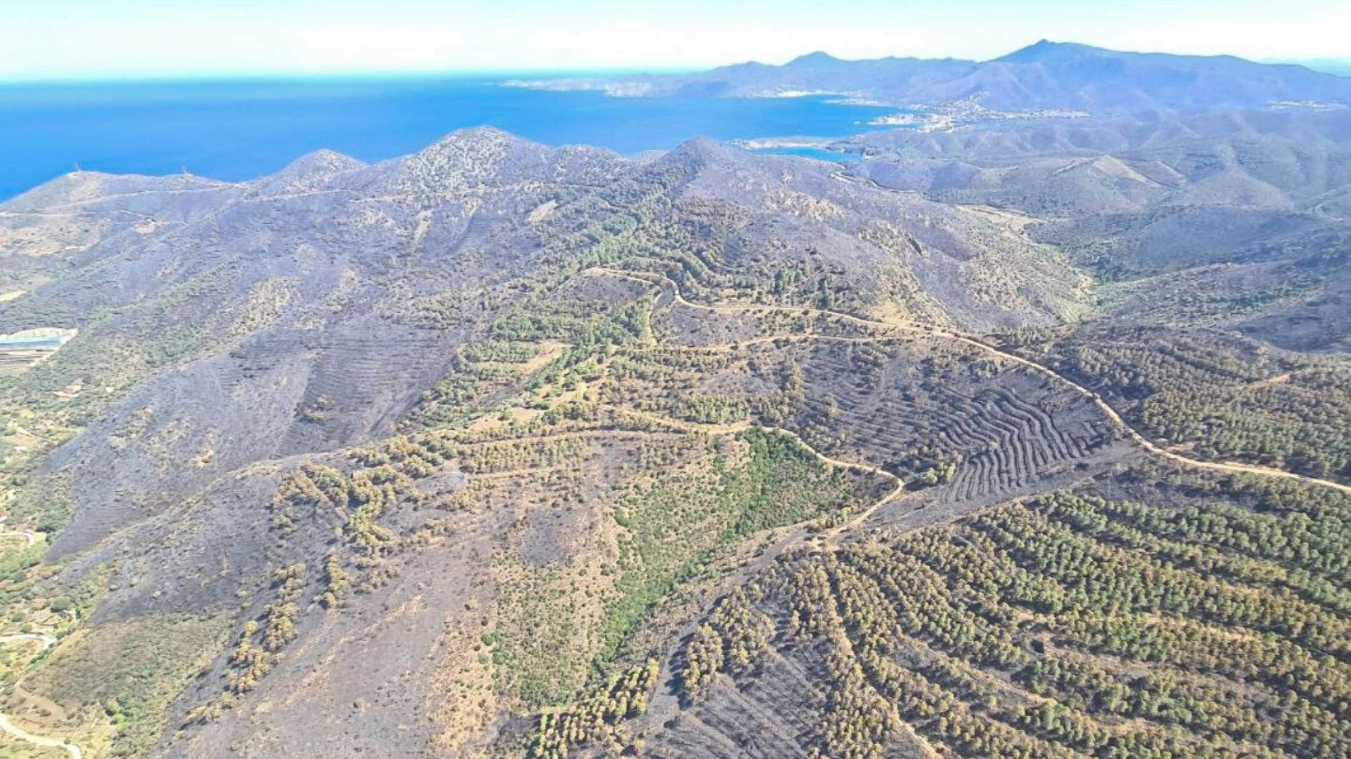 Agents Rurals apunta a l'acció humana com a causa de l'incendi de Portbou