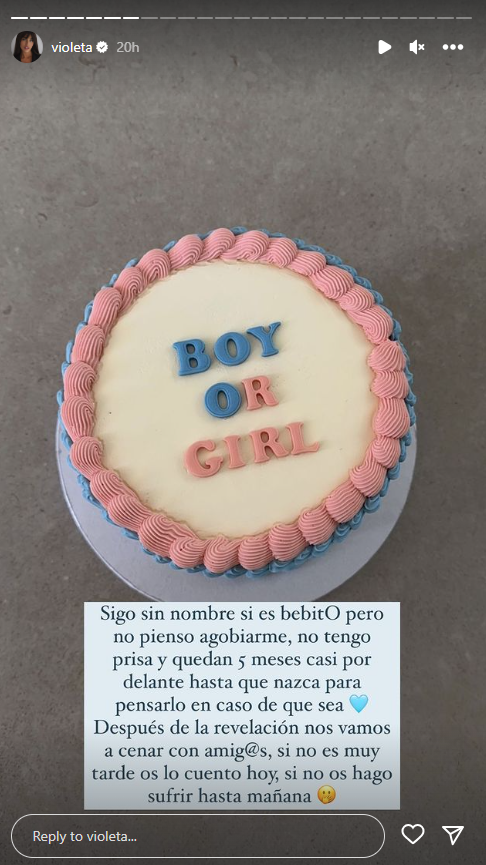 pastis violeta gender reveal instagram pastis violeta gender reveal instagram