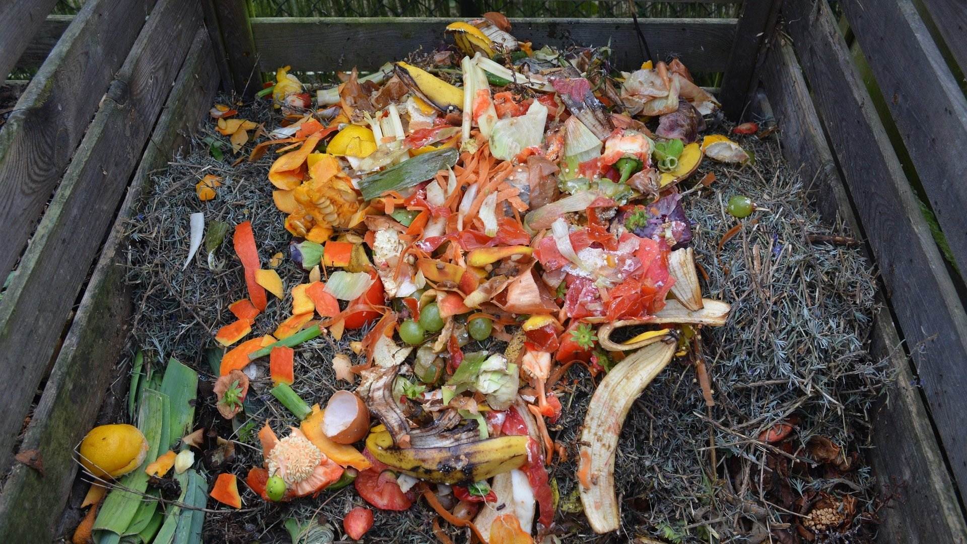 5 desperdicios que tienes en casa y que no sabías que podías compostar