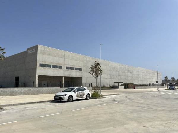 Nueva planta de Gosbi en Santa Llogaia d'Àlguema (Alto Empordà) / Cedida Nueva planta de Gosbi en Santa Llogaia d'Àlguema (Alto Empordà) / Cedida