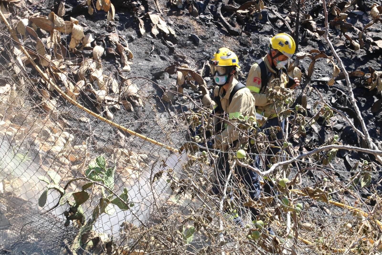 Extingit l'incendi de Portbou després de quatre dies i prop de 600 hectàrees afectades