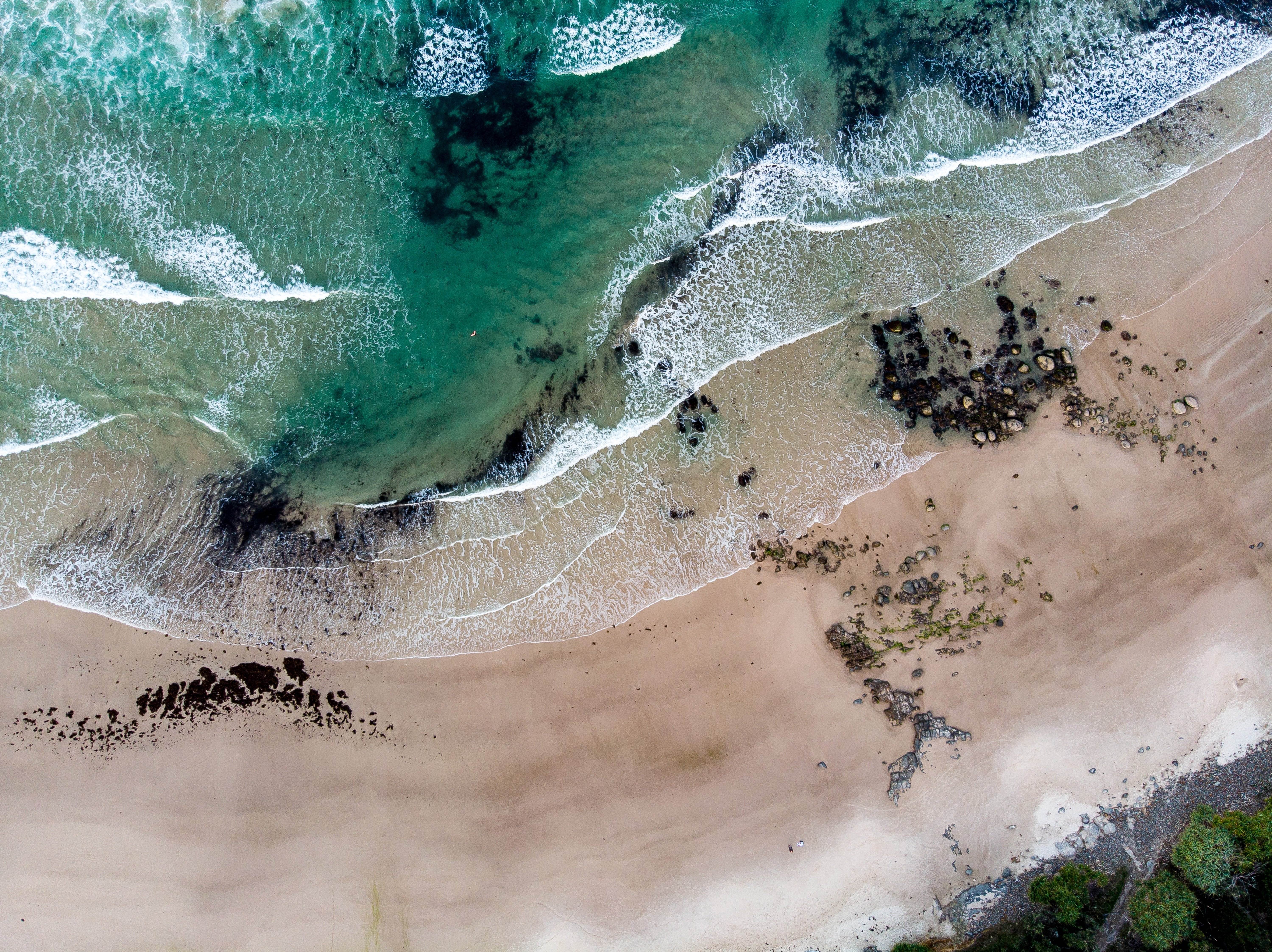 ¿Por qué se han agotado las sudaderas en este país de Oceanía?