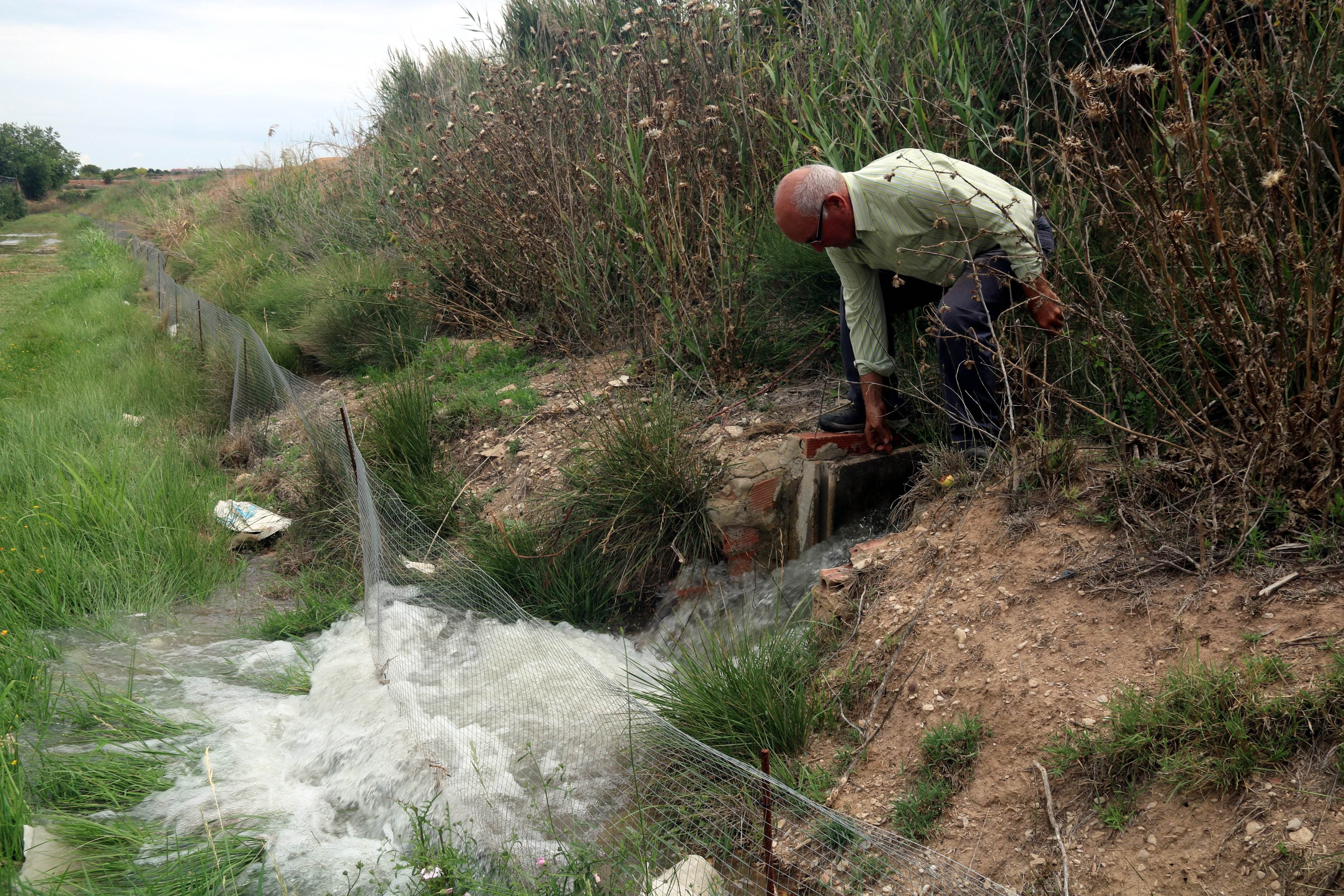 El canal d'Urgell fixa un nou torn de reg de supervivència dels arbres