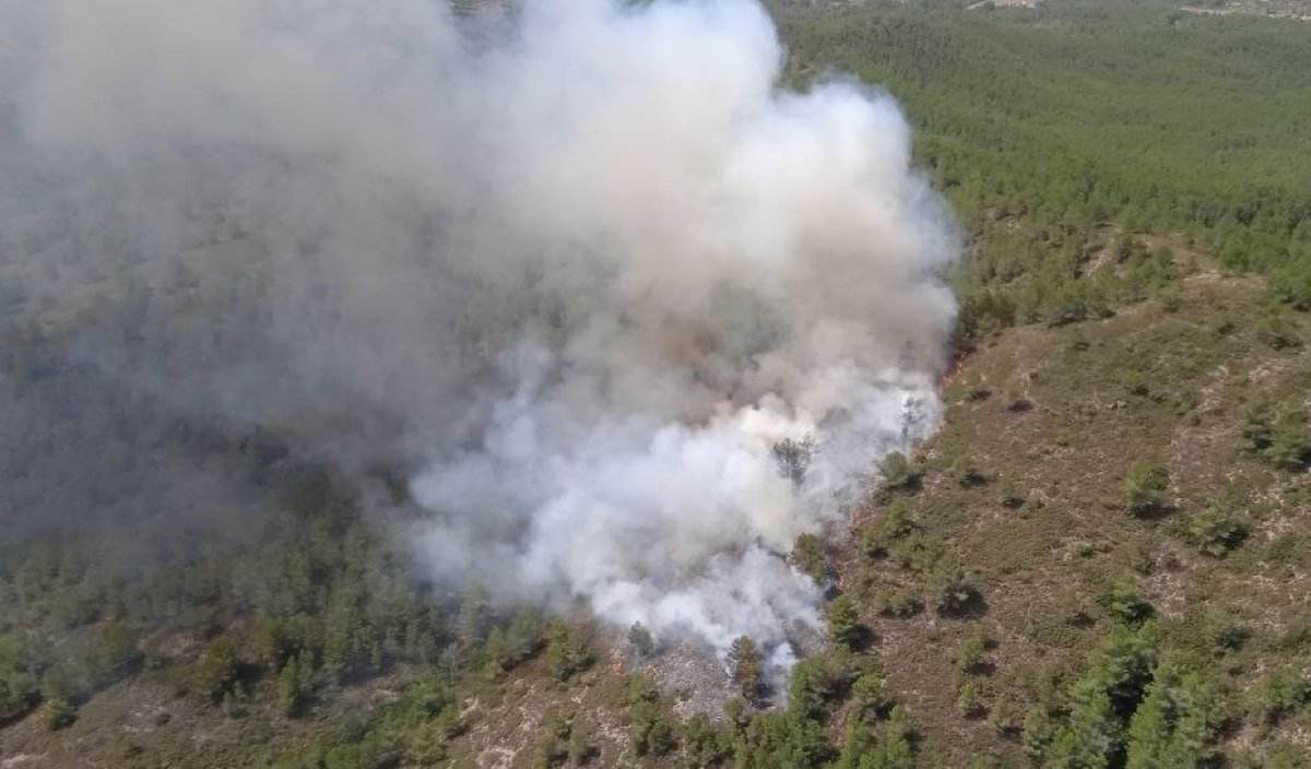 Incendio en Tivissa: han estabilizado el fuego en una zona forestal de difícil acceso en el Coll de Llumeners