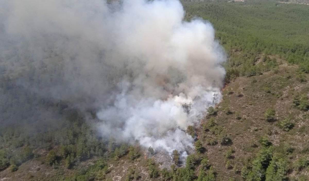 Incendi a Tivissa: han estabilitzat el foc en una zona forestal de difícil accés al Coll de Llumeners