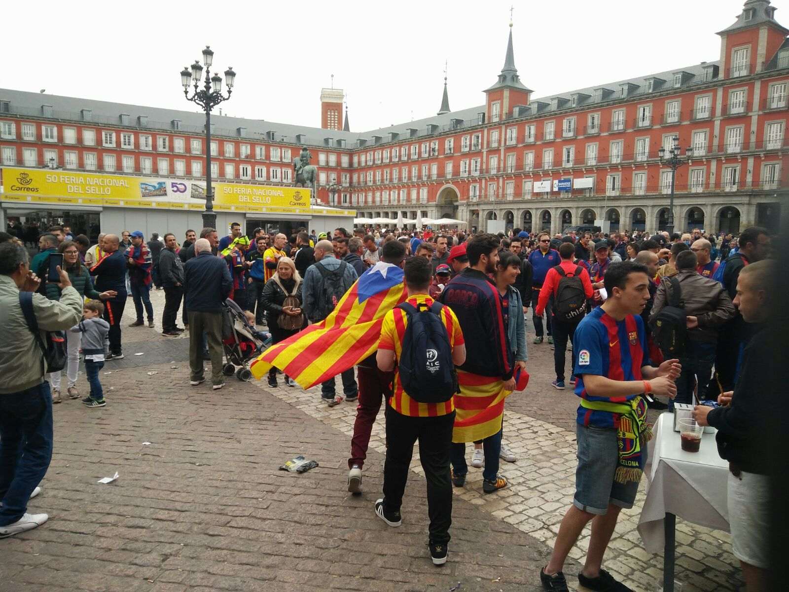 Drets advierte que la retirada de esteladas es prevaricación