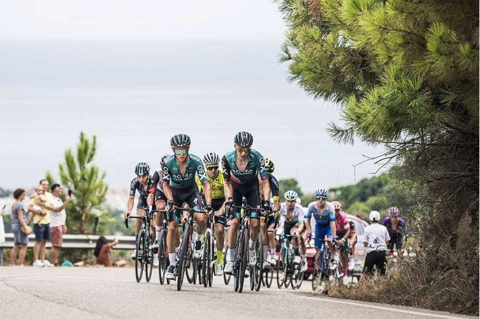 Crida dels CDR per portar estelades a les etapes de Catalunya i el País Valencià de la Vuelta 2023