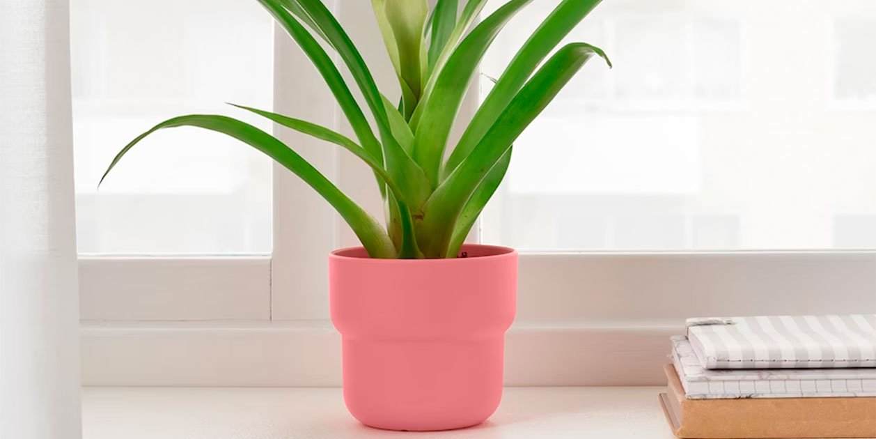 Ikea se está hinchando a vender el macetero ‘rosa Barbie’