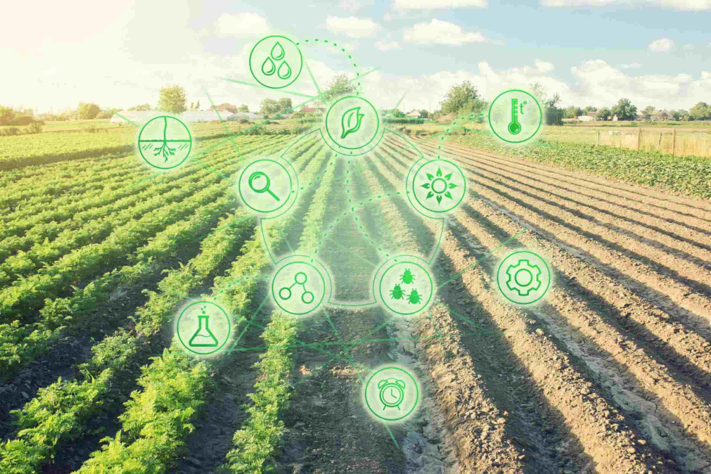 Lo rural también es digital