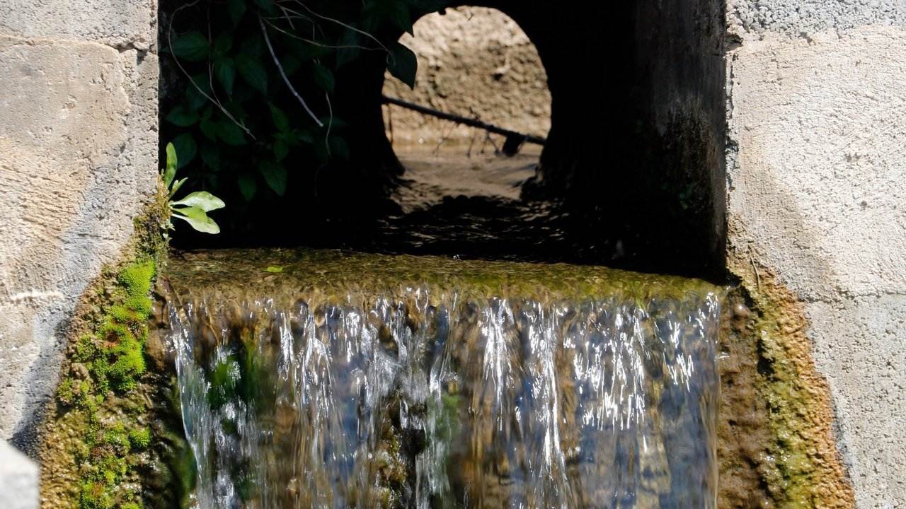 El tercer reg de supervivència del Canal d’Urgell salva la campanya agrària