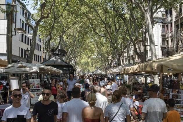 watusi las ramblas 1 630x630 watusi las ramblas 1 630x630