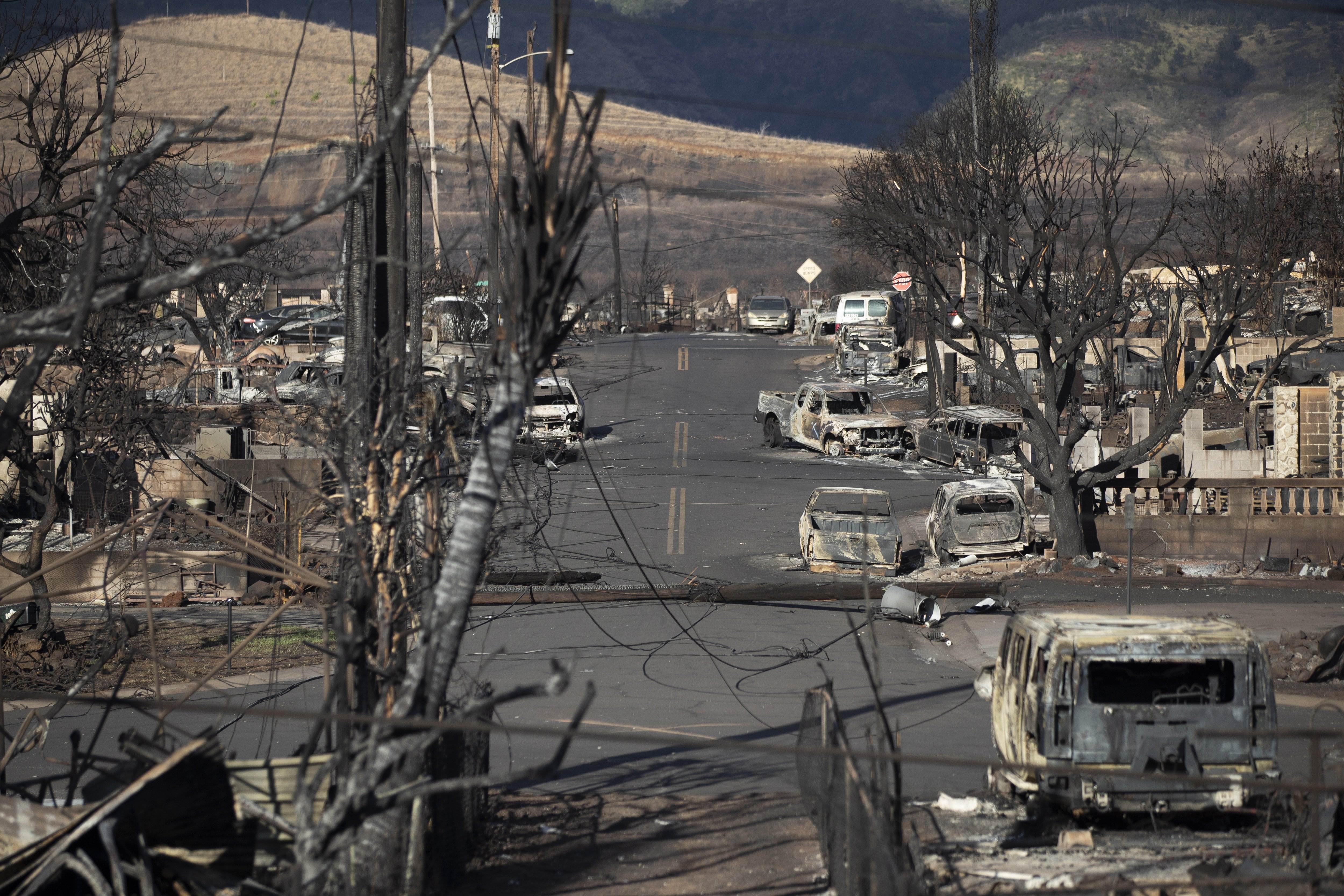 Hawai y los incendios: no los consideraban una amenaza mortal