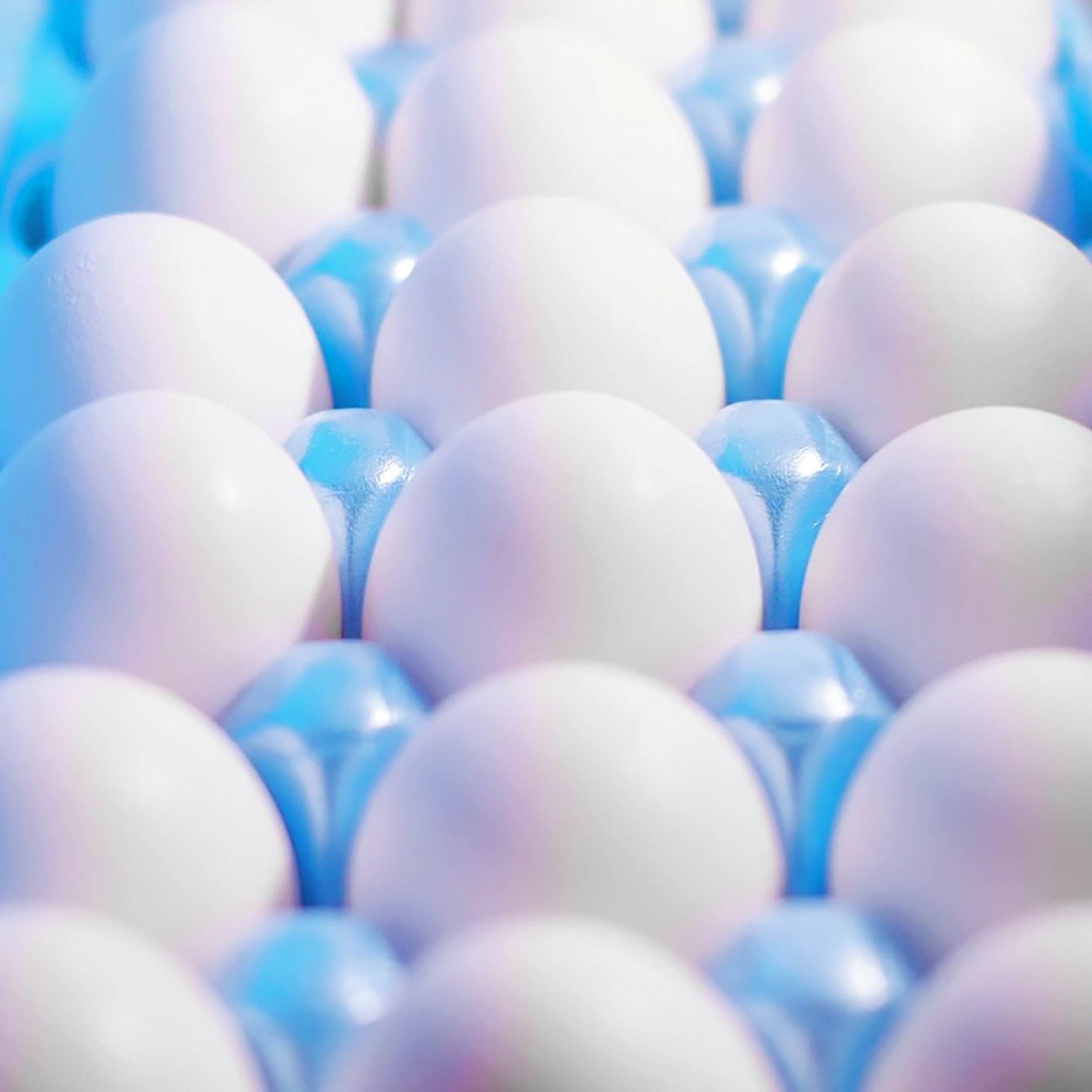 ¿Cómo podemos reducir la cantidad de huevos que acaba en la basura?