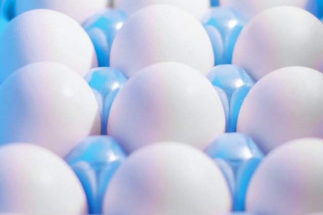 Huevos Huevos