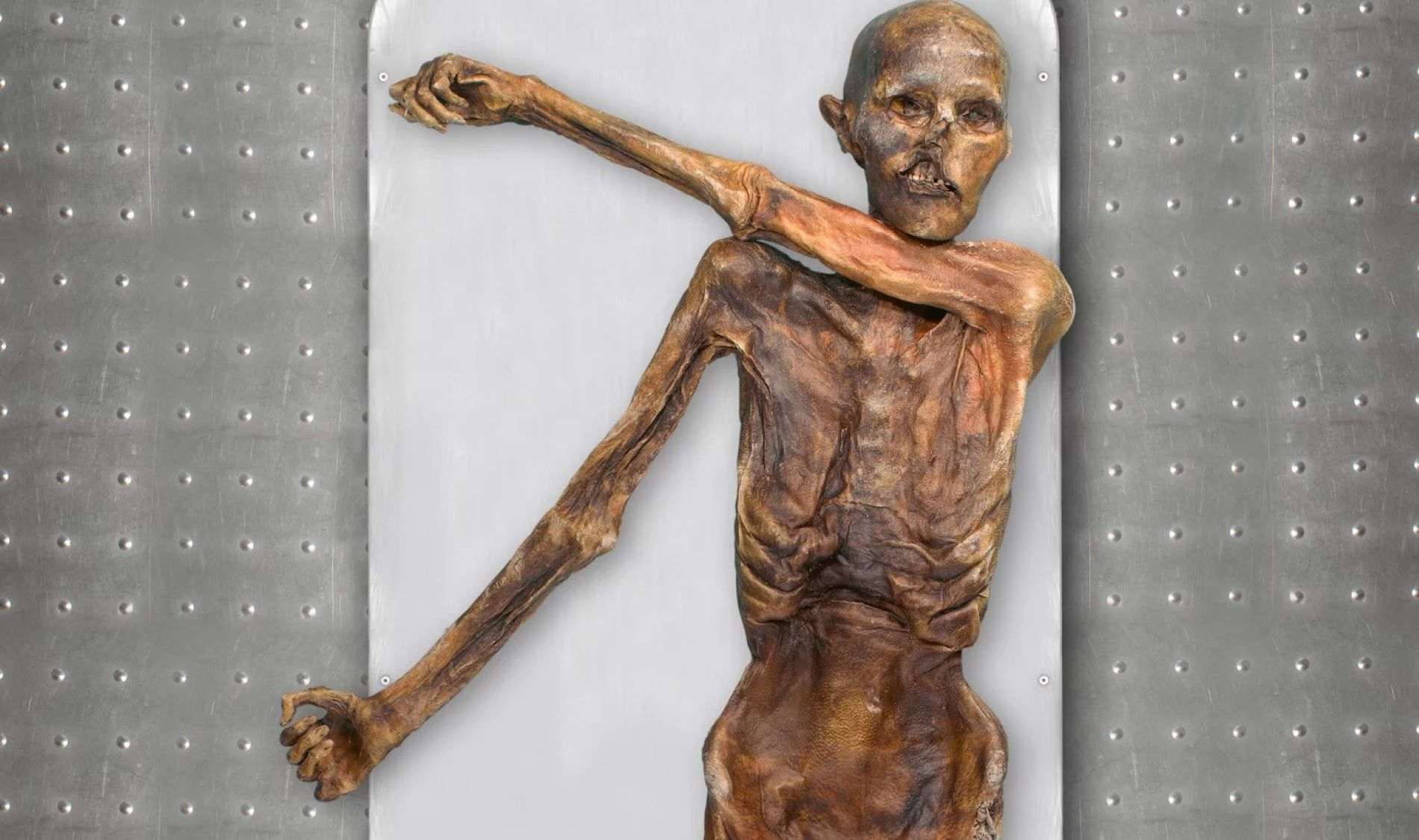 Sorprenent troballa amb Ötzi, l'Home de Gel de fa 5.300 anys: no era com pensàvem