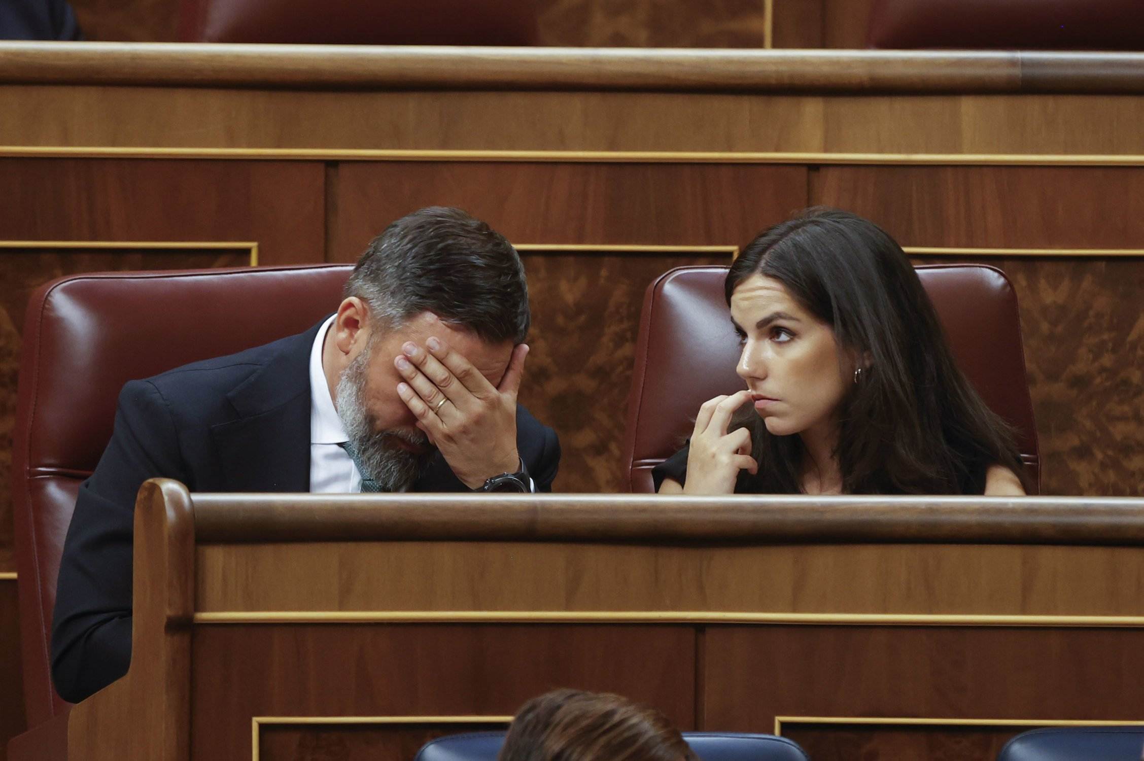 Santiago Abascal, sessio constitució del congres. EFE Santiago Abascal, sessio constitució del congres. EFE