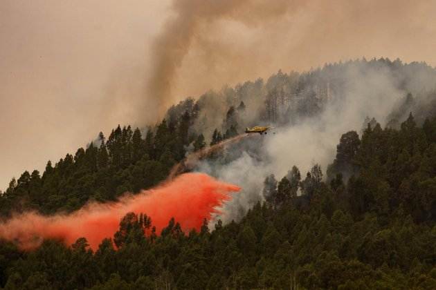 incendio tenerife (2). EFE incendio tenerife (2). EFE