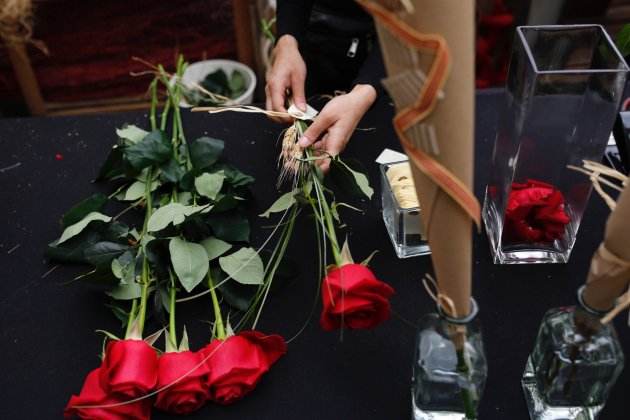 Sant Jordi 2018 roses / Sergi Alcàzar
