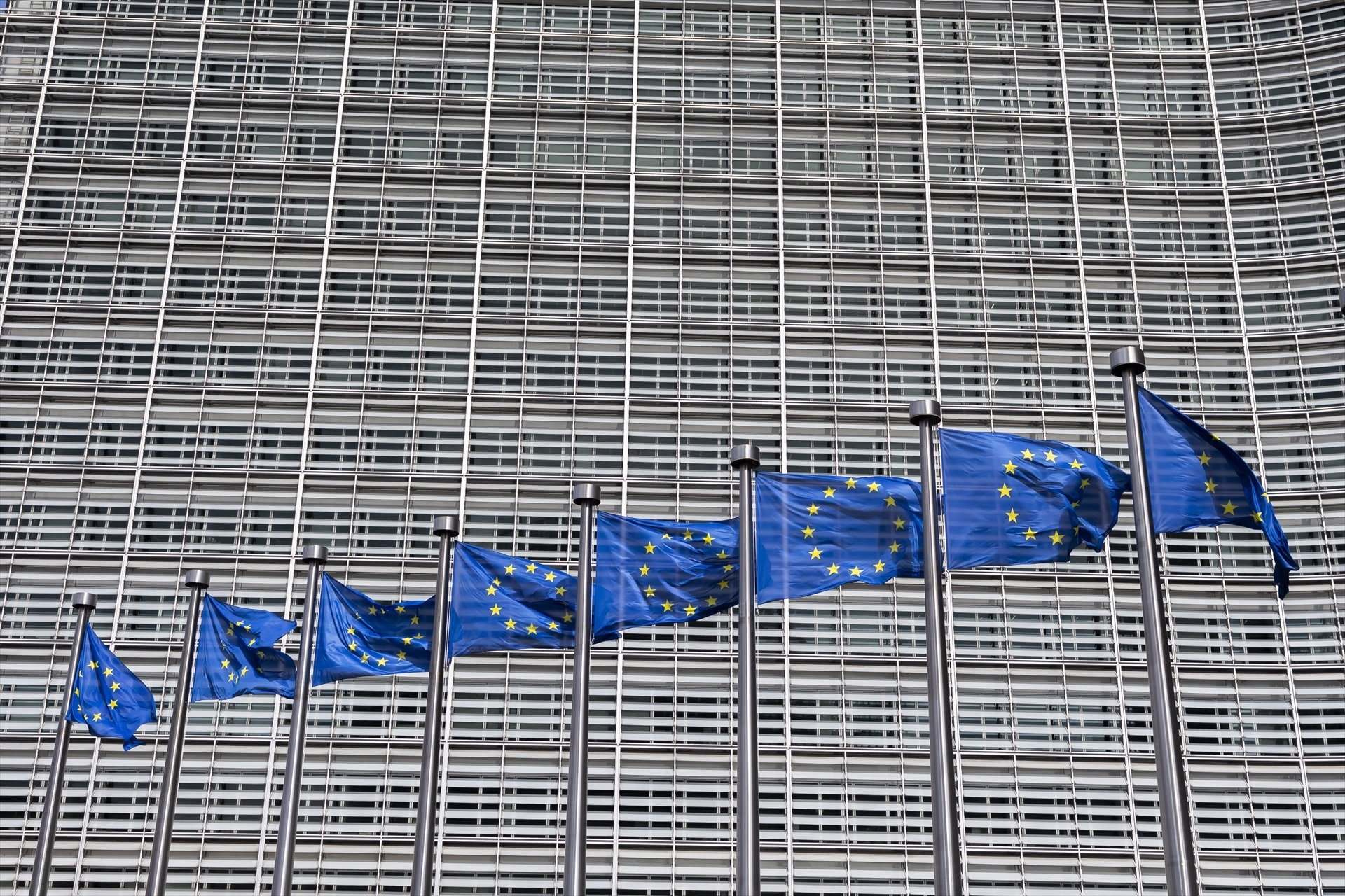 Reunión urgente de Plataforma per la Llengua y la expedición española a la UE por la oficialidad del catalán