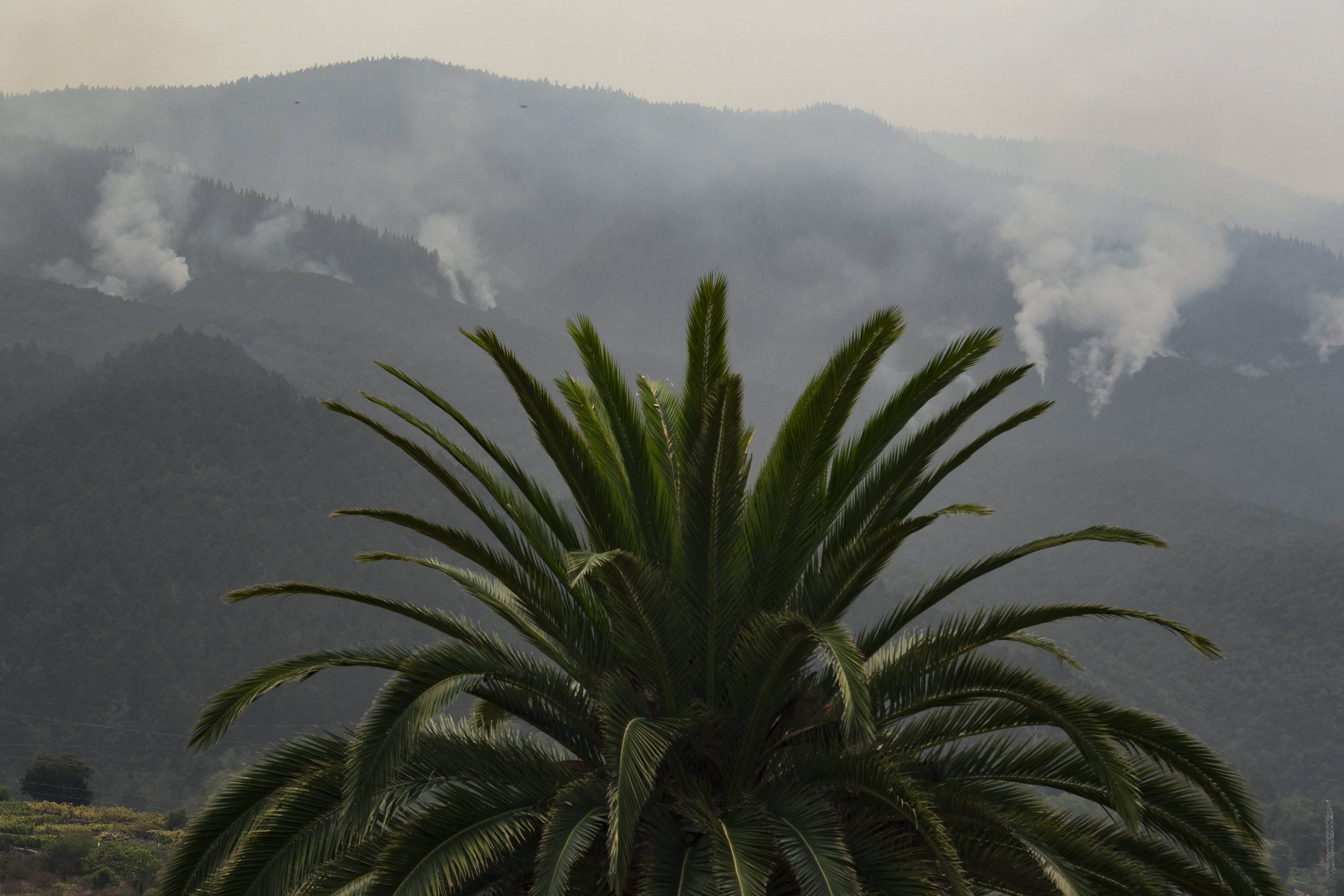 El incendio de Tenerife se complica en el norte y obliga a evacuar a más de 25.000 personas