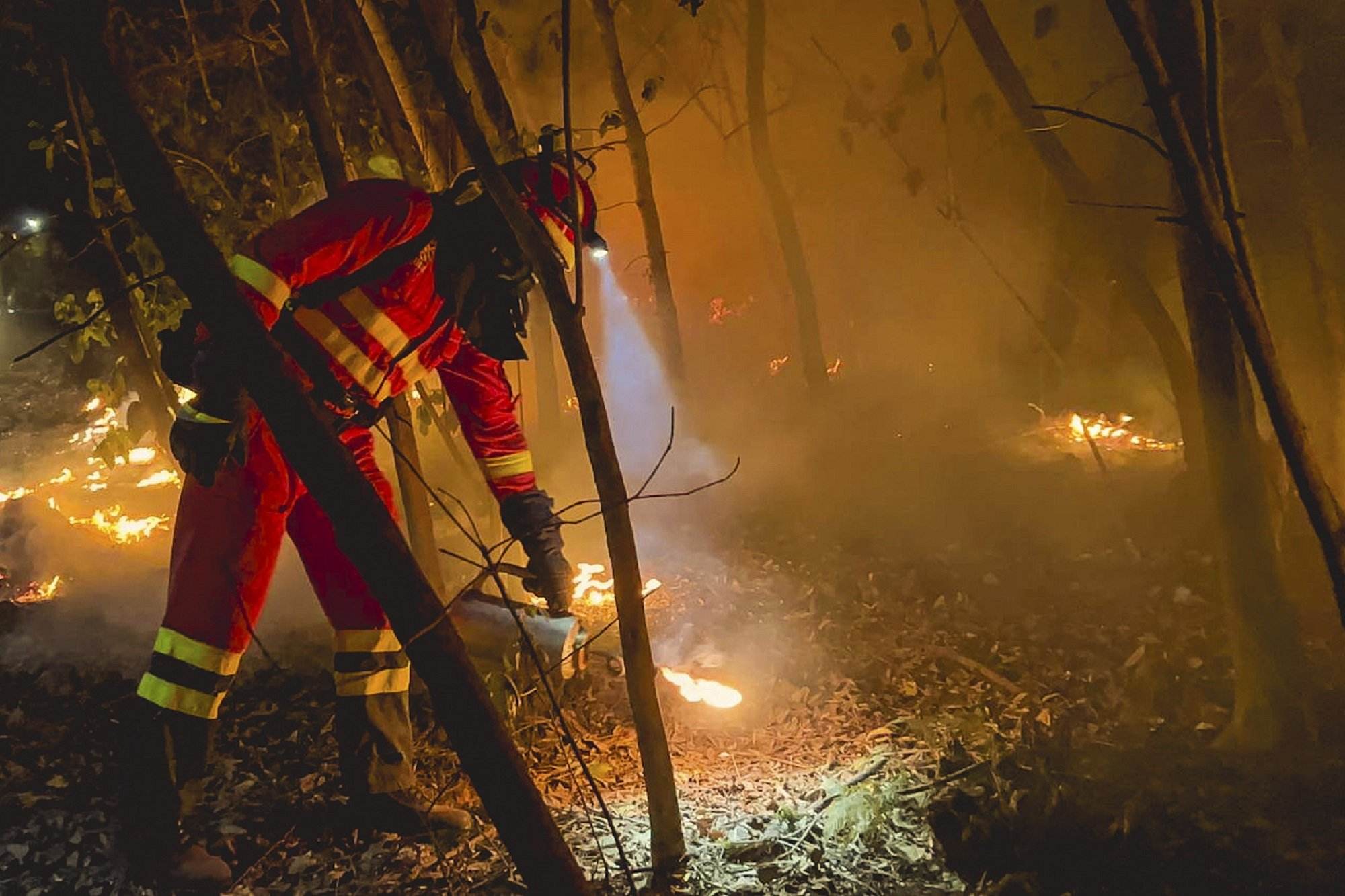 Les autoritats canàries confirmen que l'incendi de Tenerife és intencionat