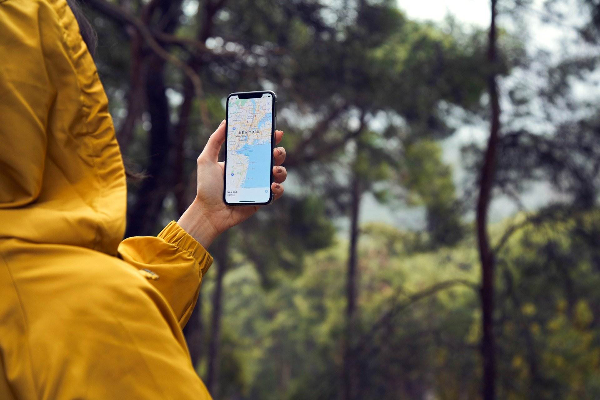 Les TIC també serveixen per a gaudir millor de la natura