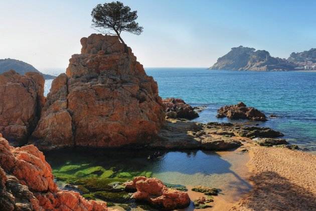 paraiso en catalunya   tossa mar menuda