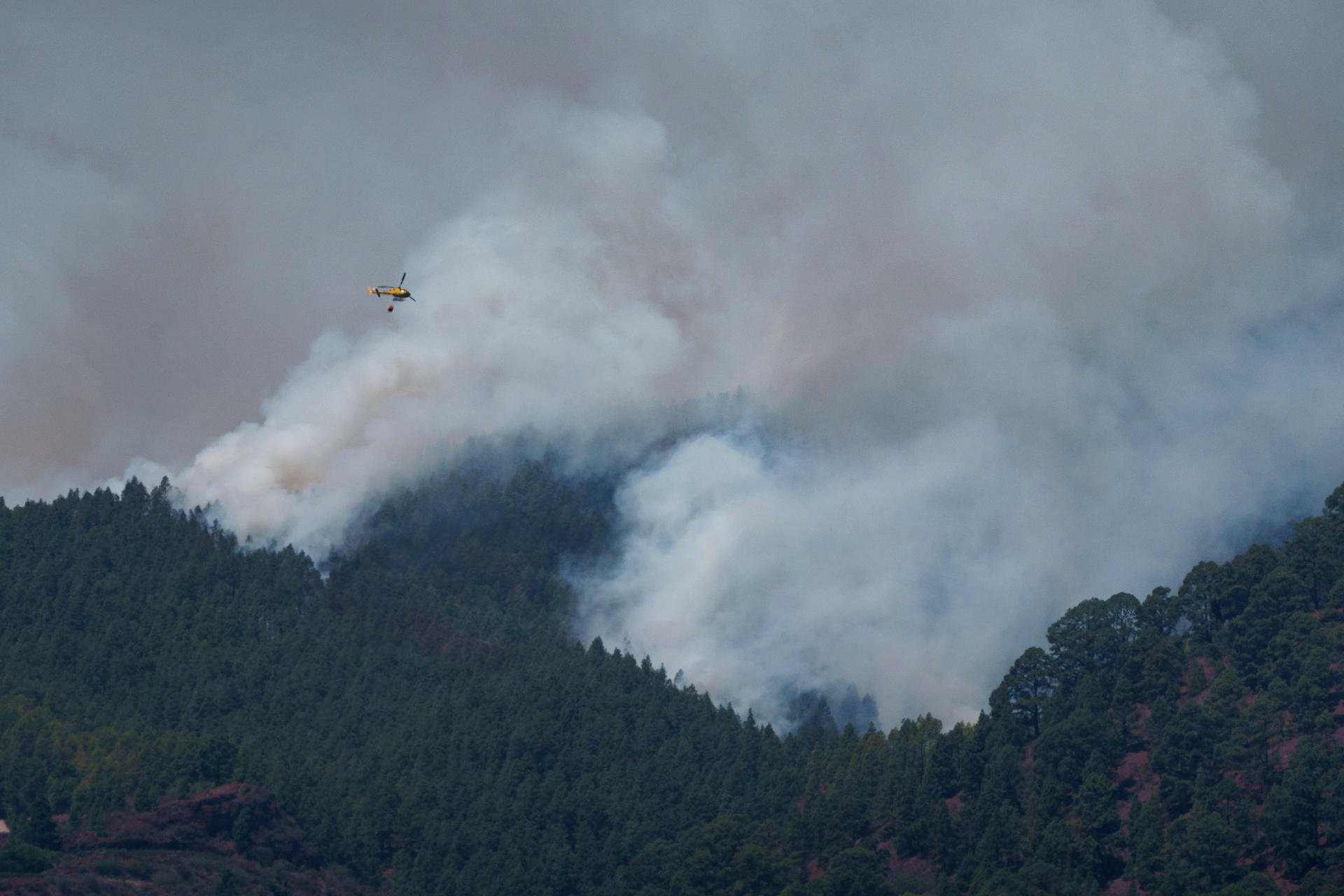 El Gobierno declarará Tenerife zona catastrófica por el incendio